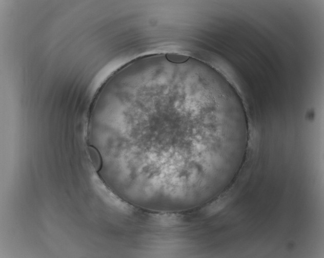 X0000112910952200909071531