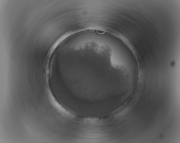 X0000112910955200909071532