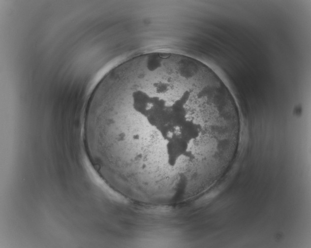 X0000112910957200909071532