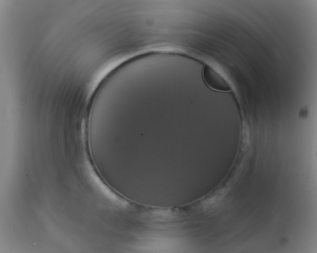 X0000112910959200909071532