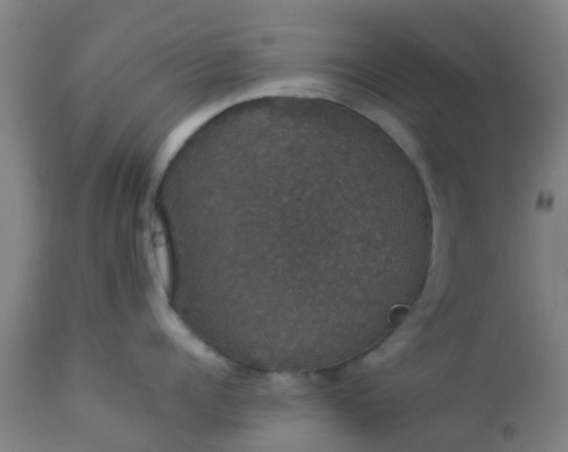 X0000112910960200909071532