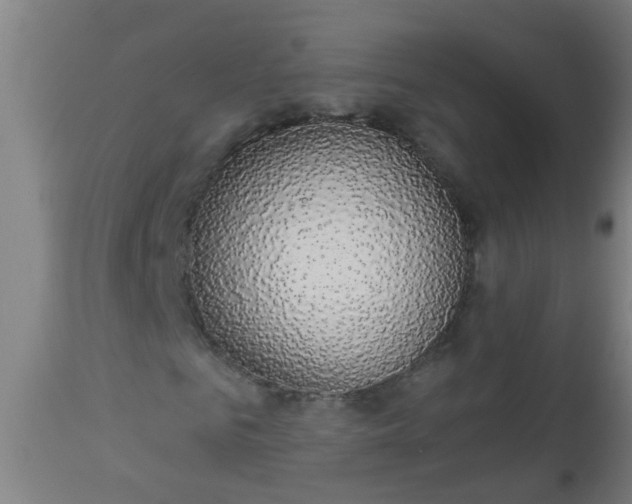 X0000112910961200909071531