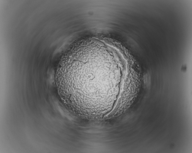 X0000112910963200909071531