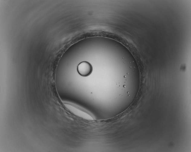 X0000112910965200909071531