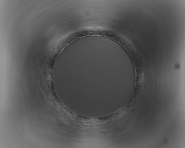 X0000112910966200909071531