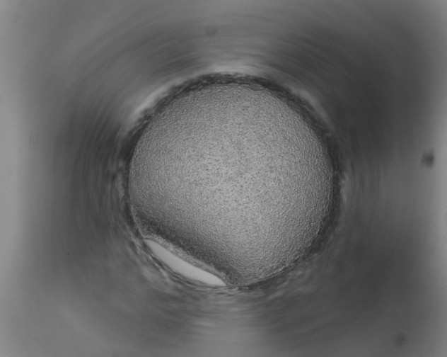 X0000112910968200909071531