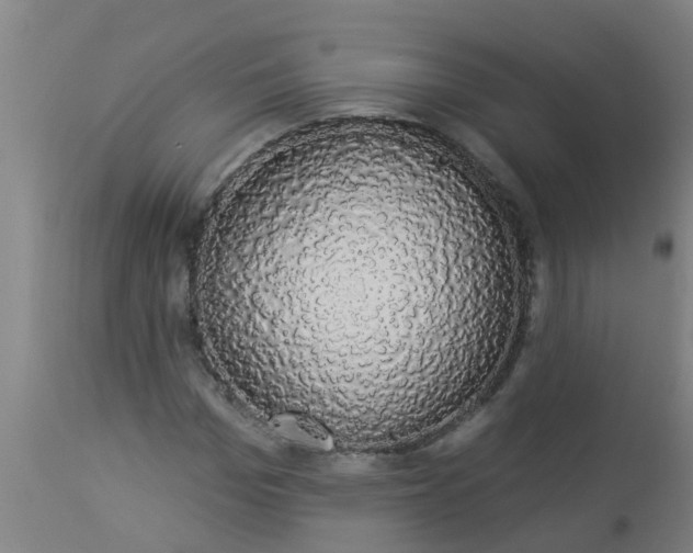 X0000112910969200909071531