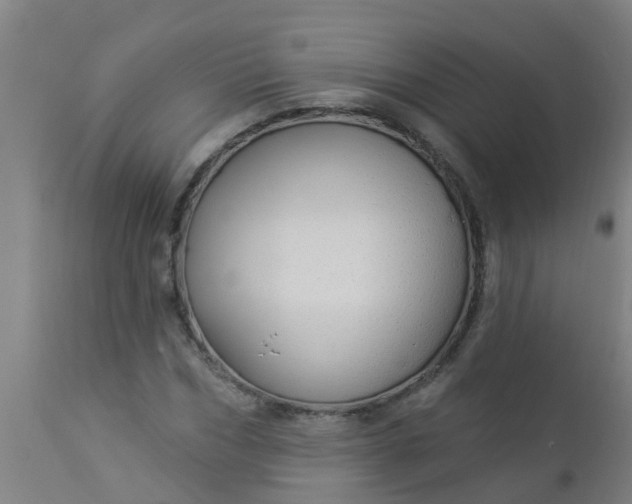 X0000112910970200909071531