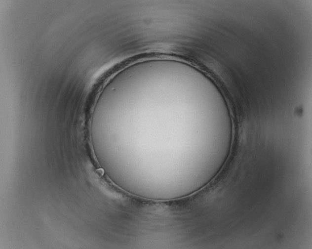 X0000112910971200909071531