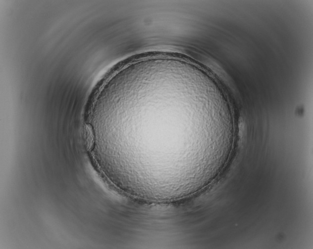 X0000112910972200909071531