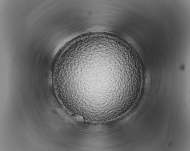 X0000112910973200909071531