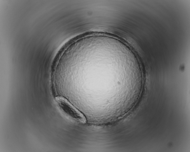 X0000112910976200909071531