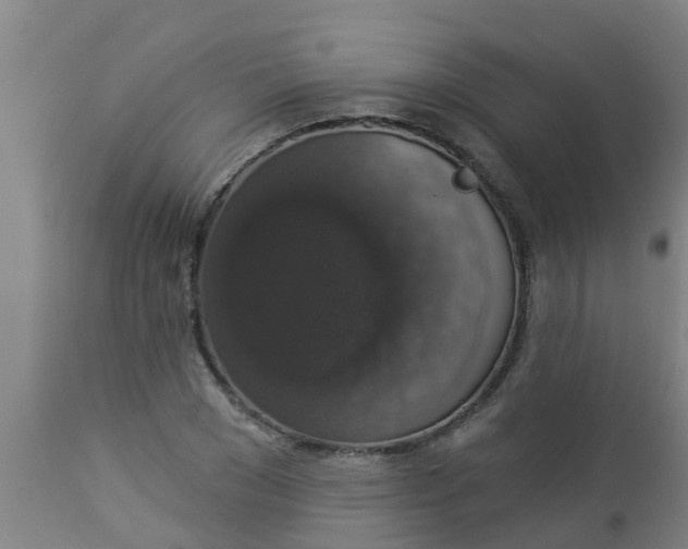 X0000112910977200909071531