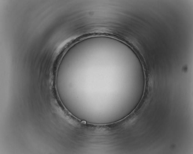 X0000112910979200909071531