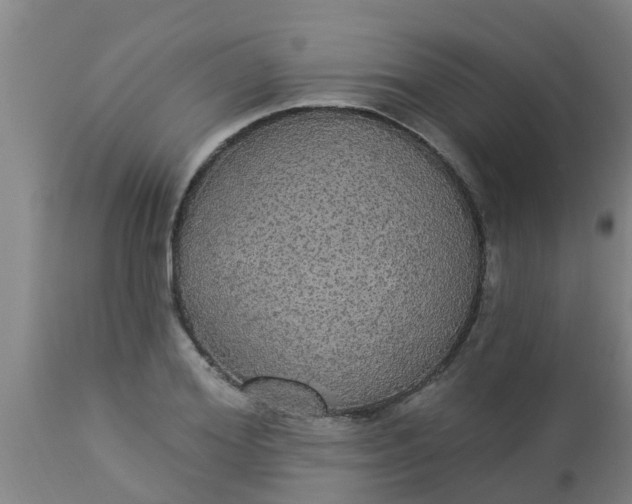 X0000112910980200909071531