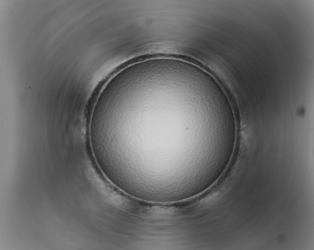 X0000112910981200909071531