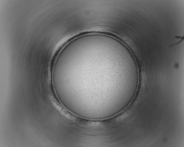 X0000112910982200909071531