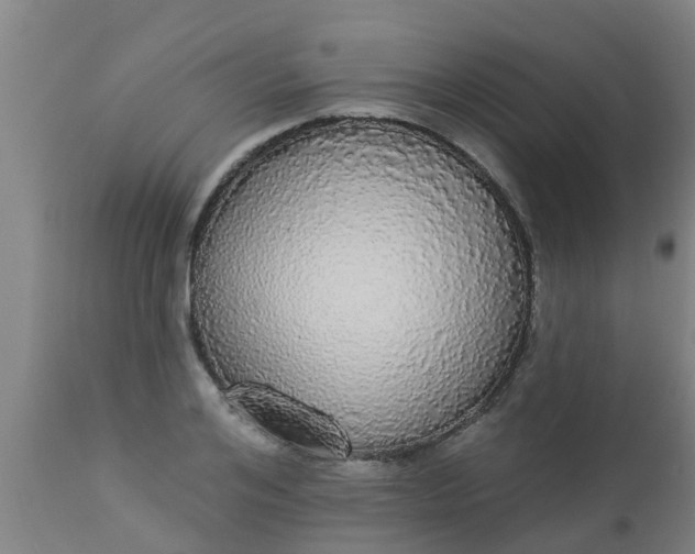 X0000112910984200909071531