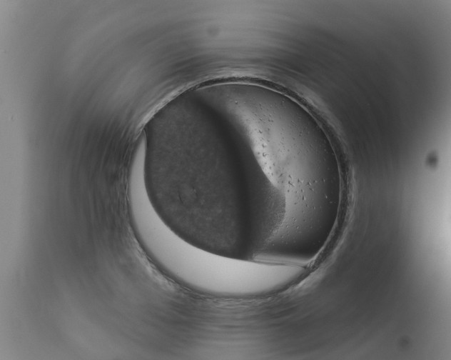 X0000112910985200909071531