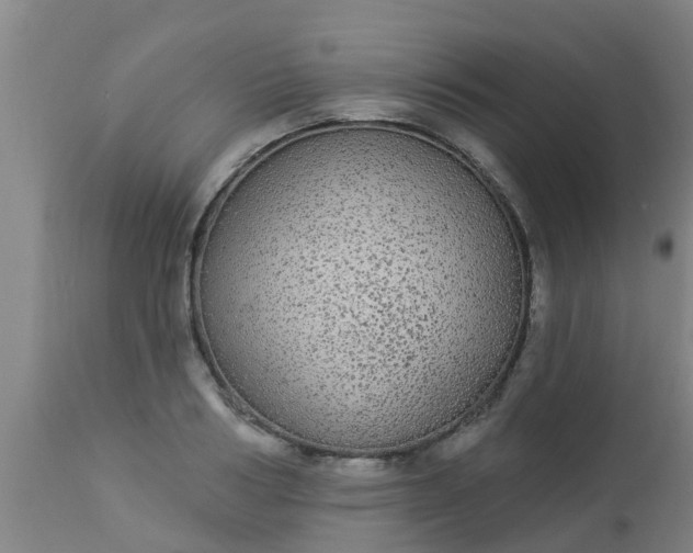 X0000112910986200909071531