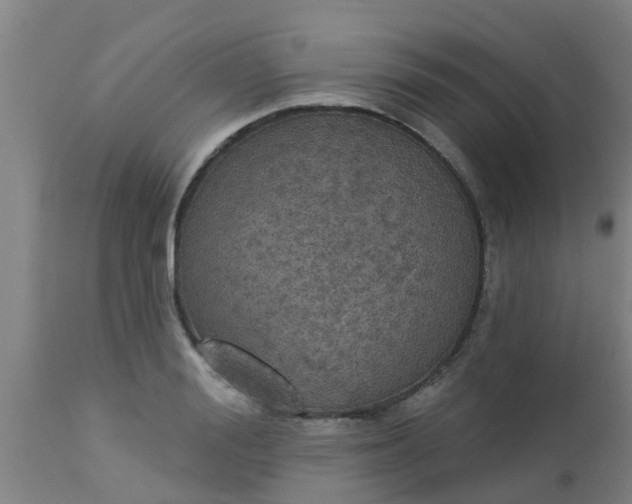 X0000112910988200909071531