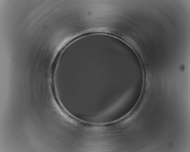 X0000112910989200909071531