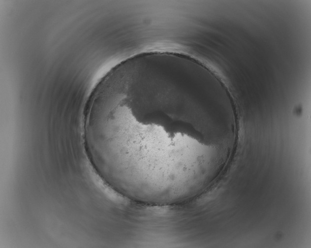 X0000112910990200909071531