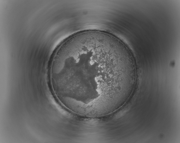 X0000112910991200909071531