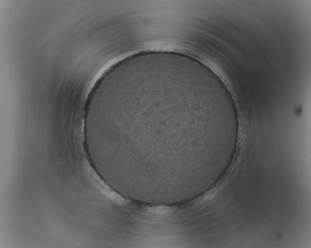 X0000112910992200909071531