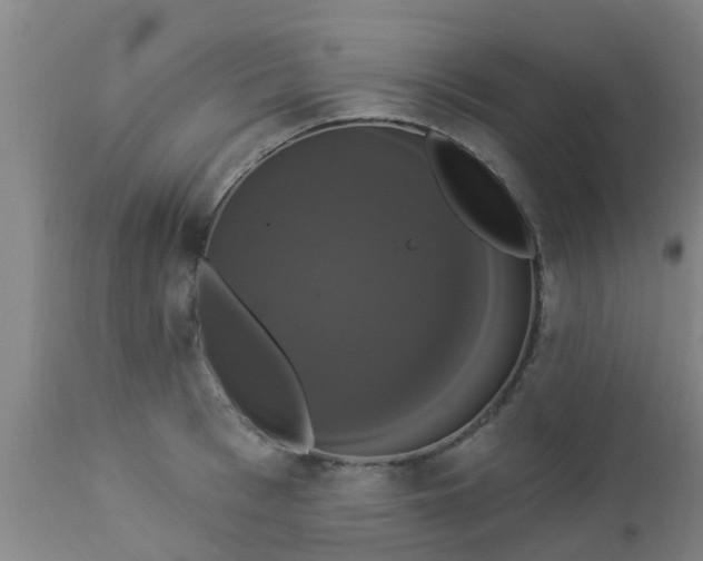 X0000112910993200909071530