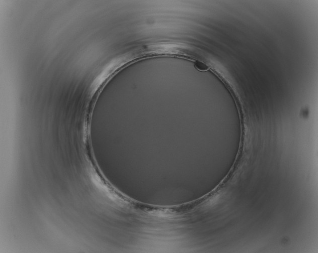 X0000112910994200909071530