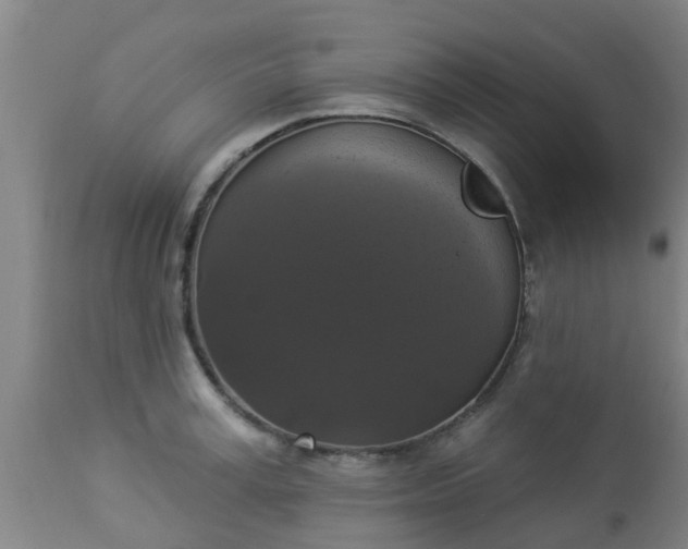 X0000112910995200909071530