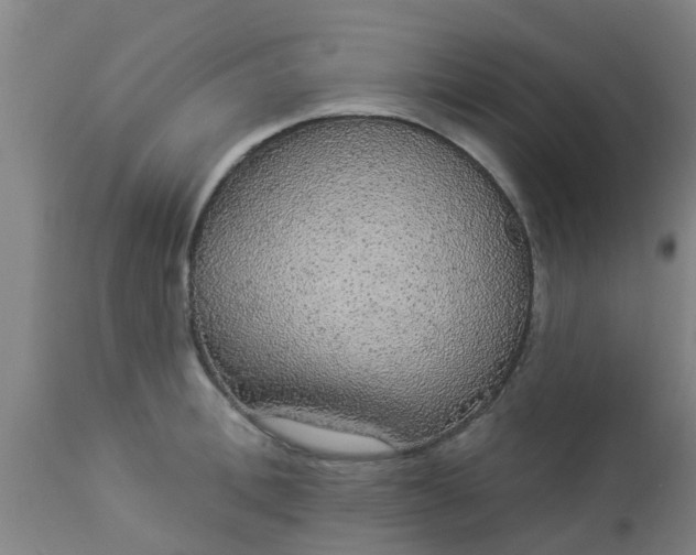 X0000112910996200909071530