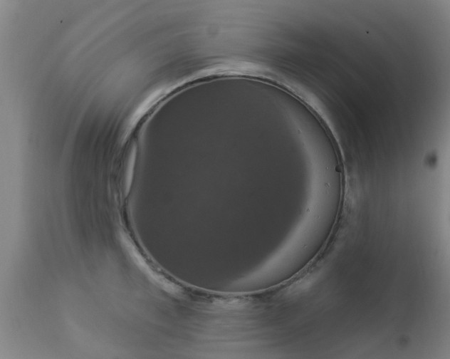 X0000112910997200909071530