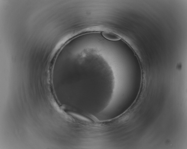 X0000112910998200909071530