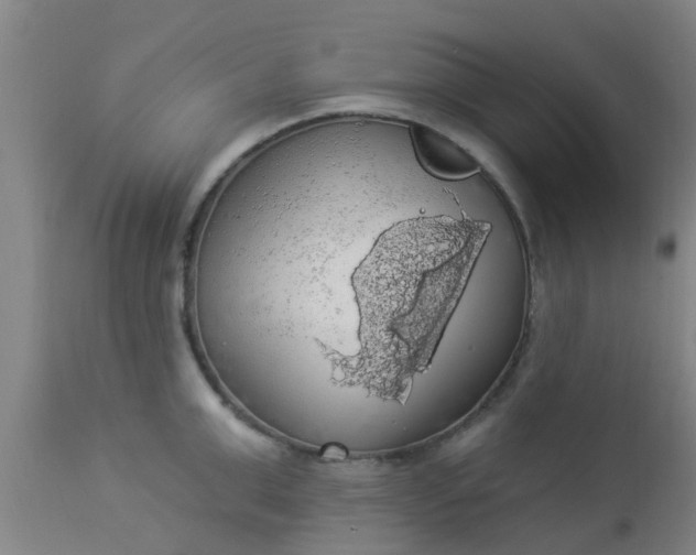 X0000112910999200909071530