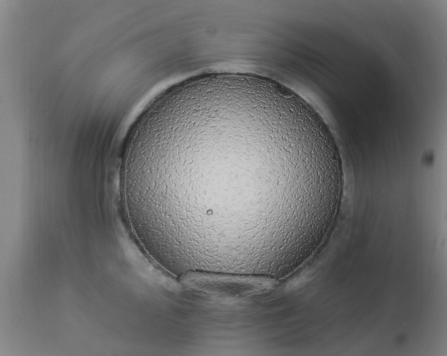 X0000112911000200909071530