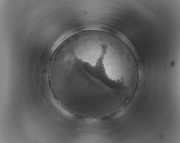 X0000112911002200909071530