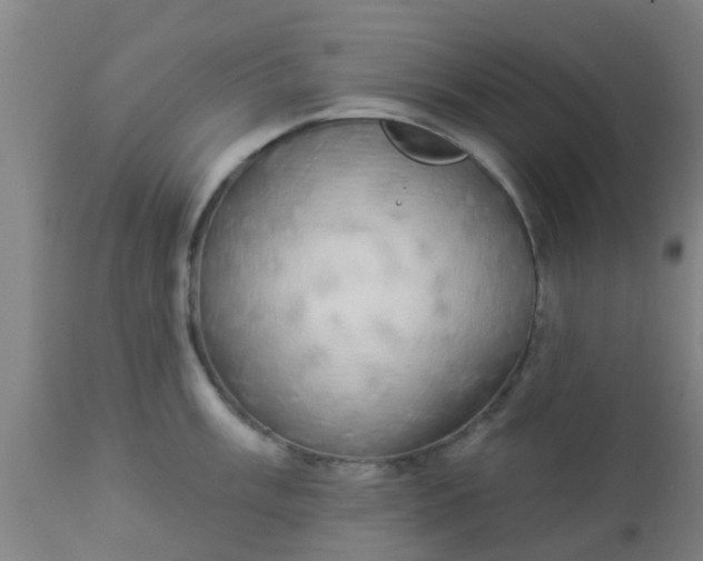 X0000112911003200909071530