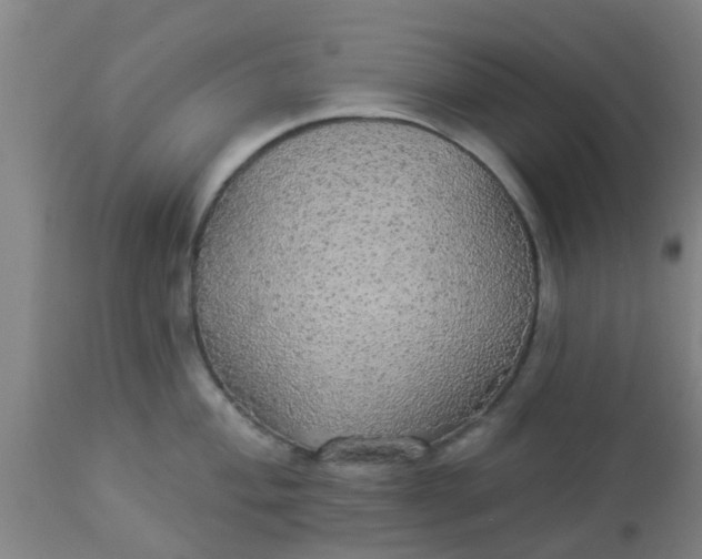 X0000112911004200909071530