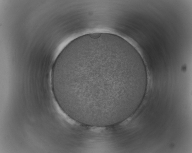 X0000112911006200909071530