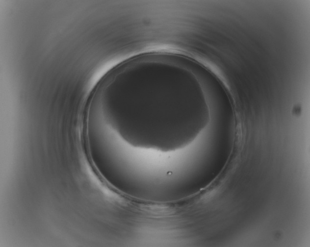 X0000112911007200909071530