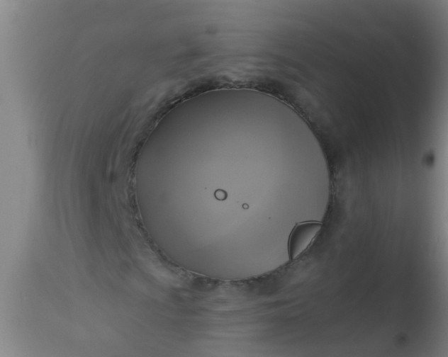 X0000112911009200909071529