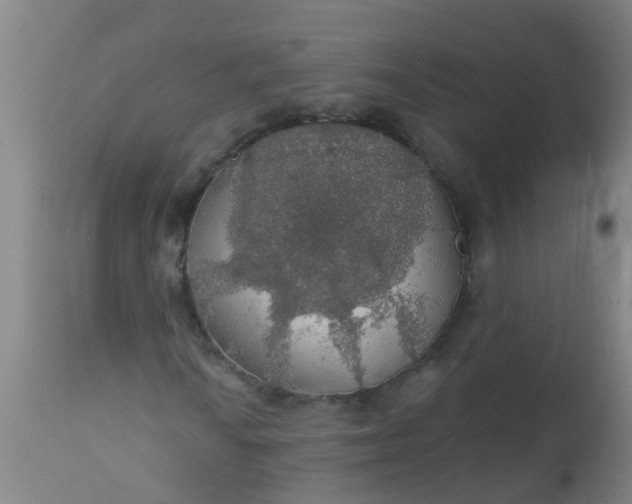 X0000112911010200909071529