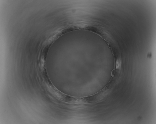 X0000112911011200909071529