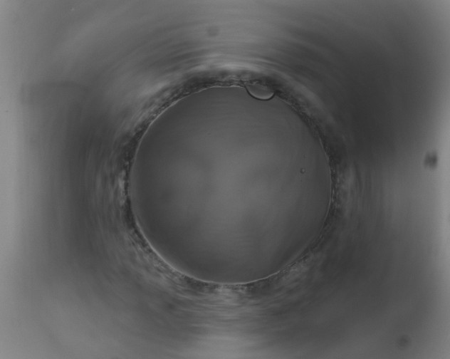 X0000112911013200909071530