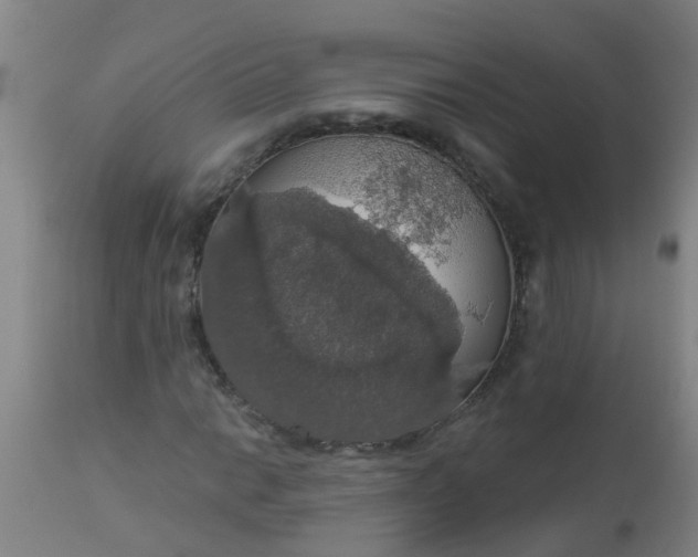 X0000112911014200909071530