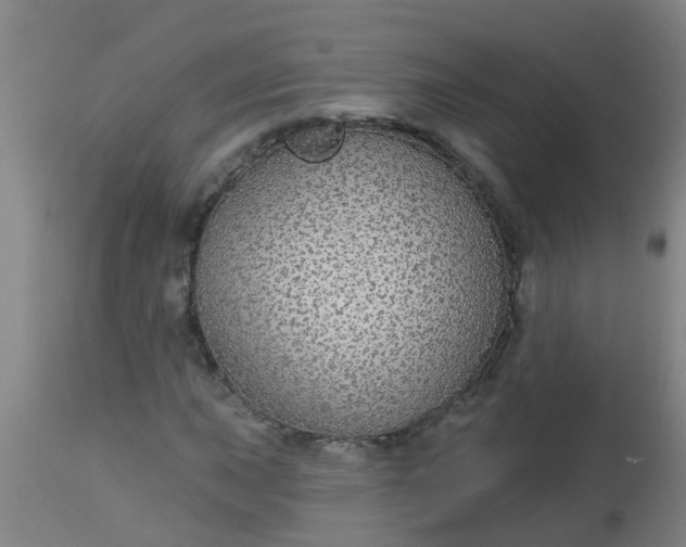 X0000112911015200909071530