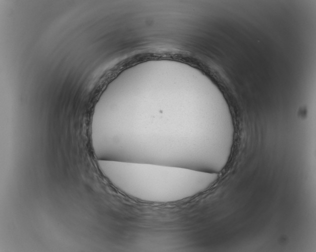 X0000112911016200909071530