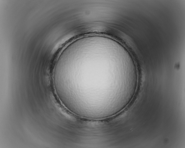 X0000112911018200909071530